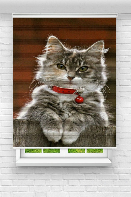 Çocuk Odası - Sevimli Kedi Baskılı Zebra Perde04